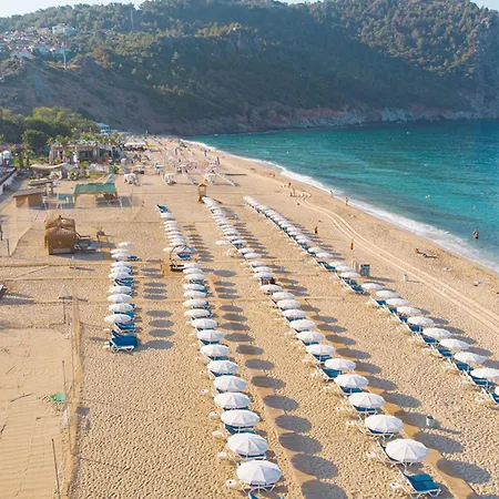 Sunflower Alanya